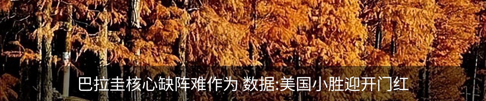 新闻中心